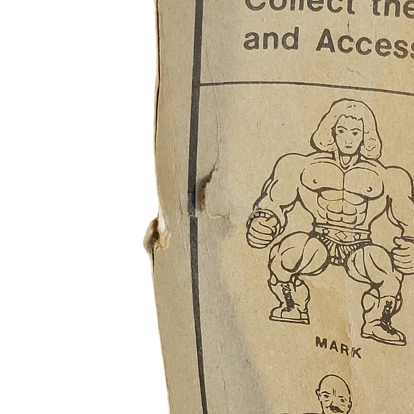 Wrestling Champs Vintage Bootleg Motu Hulk Hogan Wrestler Action Figure RARE - Picture 14 of 16